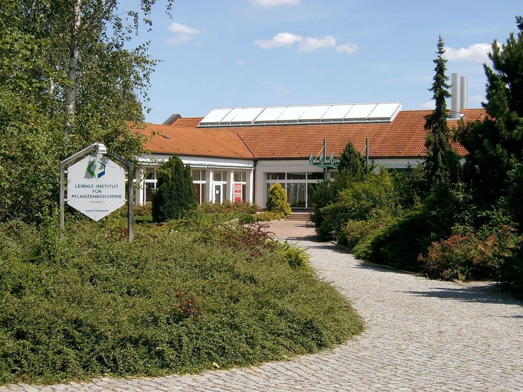 Martin Luther University HalleWittenberg Environment